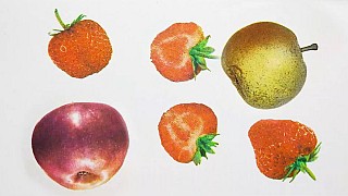 Dancing Fruit